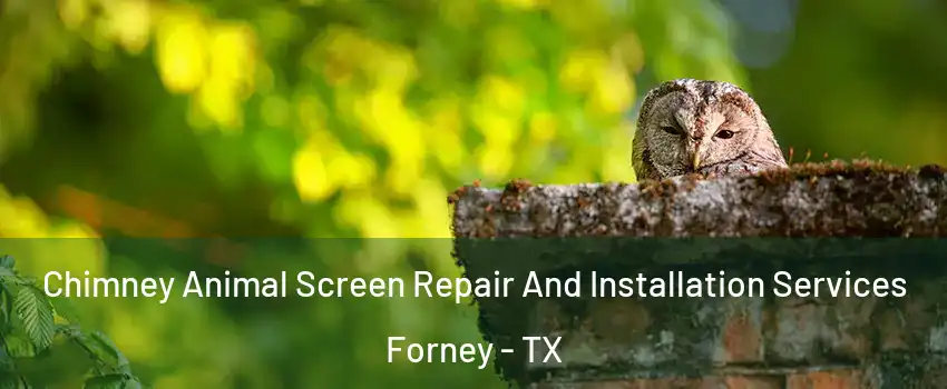  Chimney Animal Screen Repair And Installation Services Forney - TX
