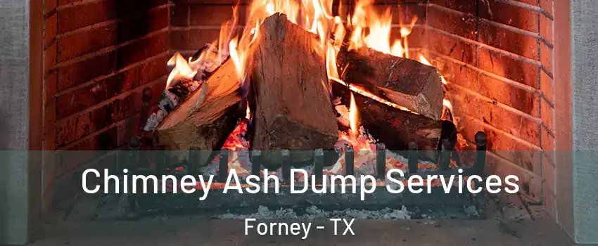  Chimney Ash Dump Services Forney - TX