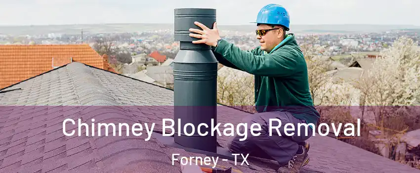 Chimney Blockage Removal Forney - TX