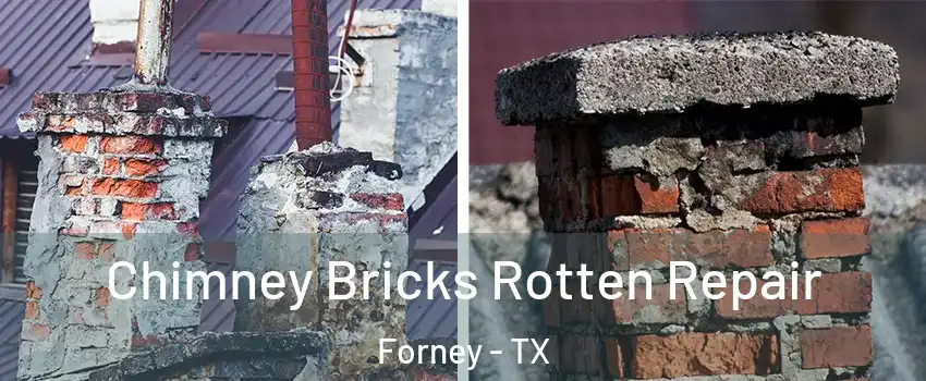 Chimney Bricks Rotten Repair Forney - TX