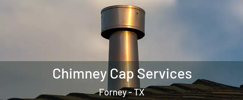  Chimney Cap Services Forney - TX