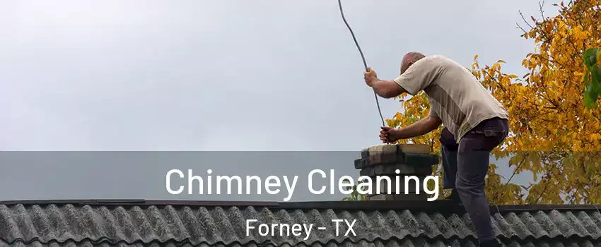  Chimney Cleaning Forney - TX