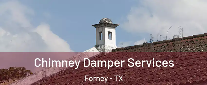  Chimney Damper Services Forney - TX