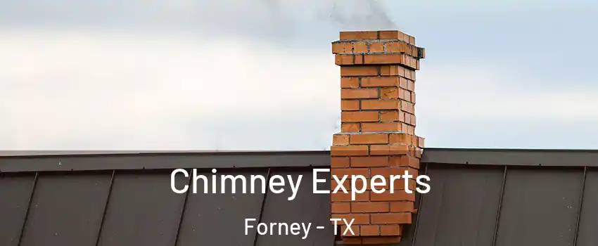  Chimney Experts Forney - TX