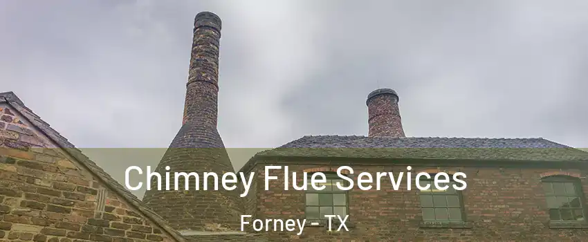  Chimney Flue Services Forney - TX