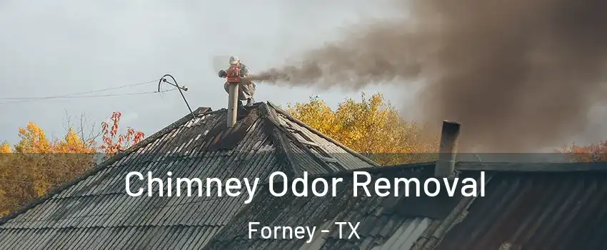 Chimney Odor Removal Forney - TX
