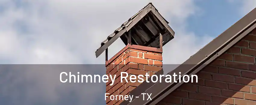  Chimney Restoration Forney - TX