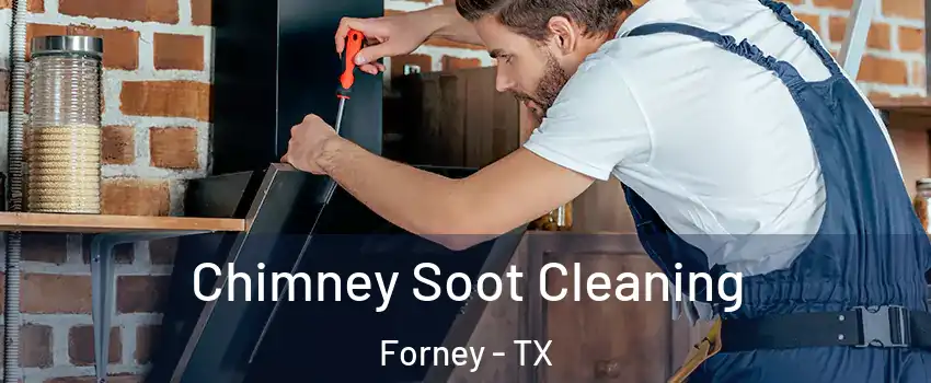  Chimney Soot Cleaning Forney - TX