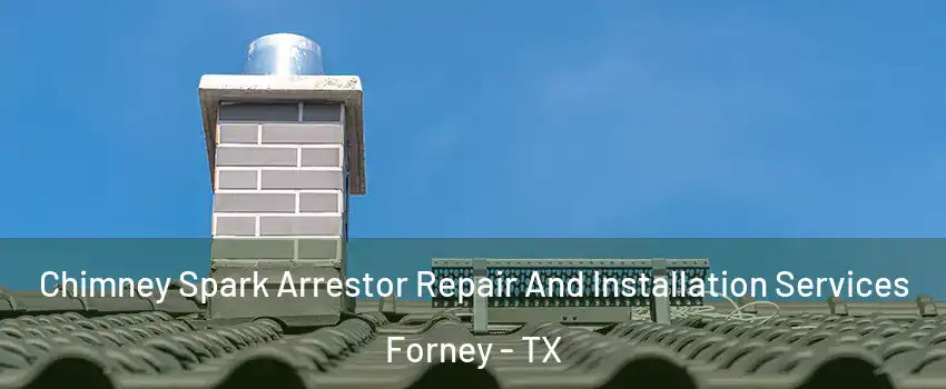  Chimney Spark Arrestor Repair And Installation Services Forney - TX