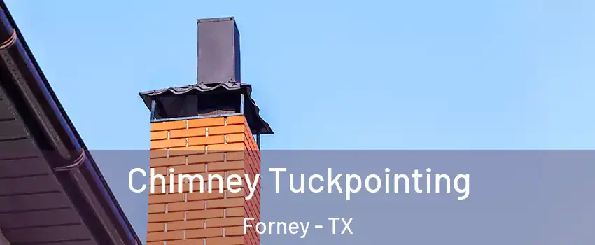  Chimney Tuckpointing Forney - TX