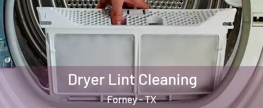  Dryer Lint Cleaning Forney - TX