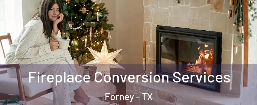 Fireplace Conversion Services Forney - TX