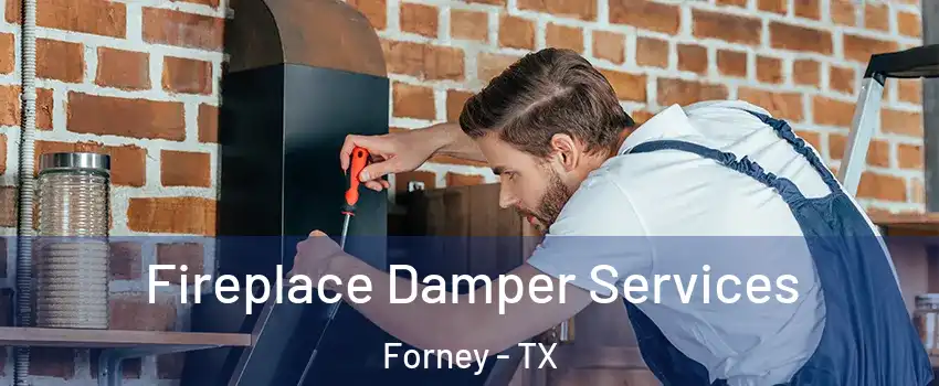  Fireplace Damper Services Forney - TX