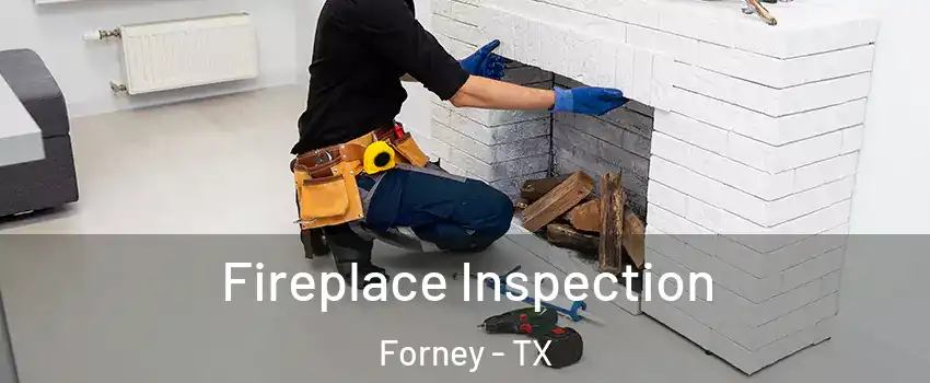  Fireplace Inspection Forney - TX