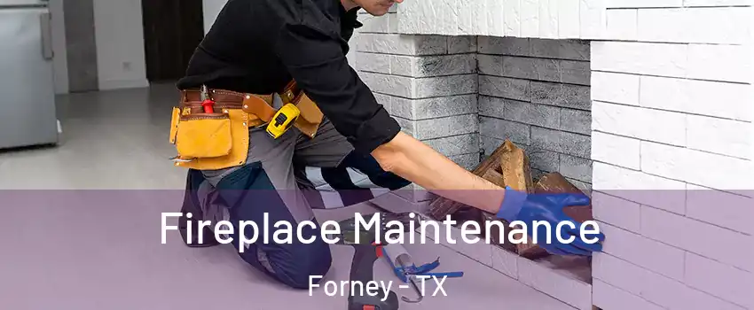  Fireplace Maintenance Forney - TX