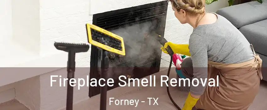  Fireplace Smell Removal Forney - TX