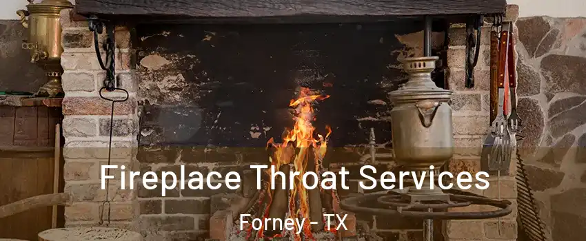  Fireplace Throat Services Forney - TX