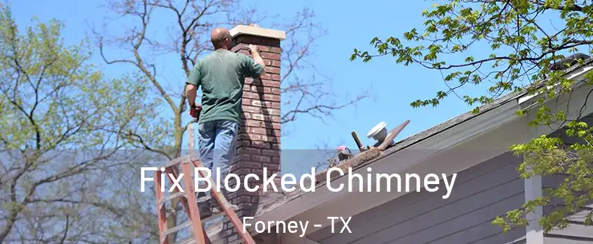  Fix Blocked Chimney Forney - TX