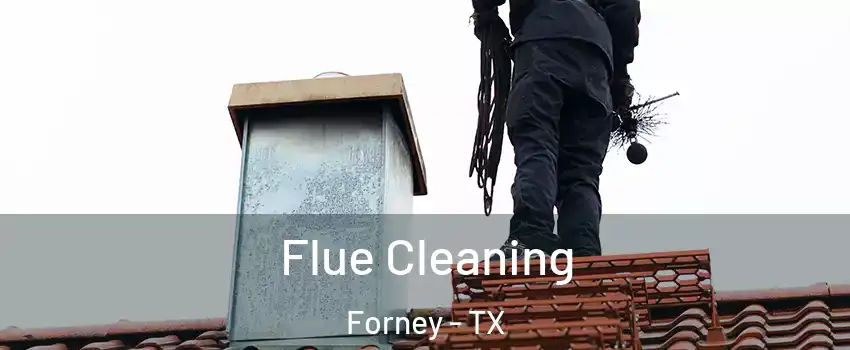  Flue Cleaning Forney - TX