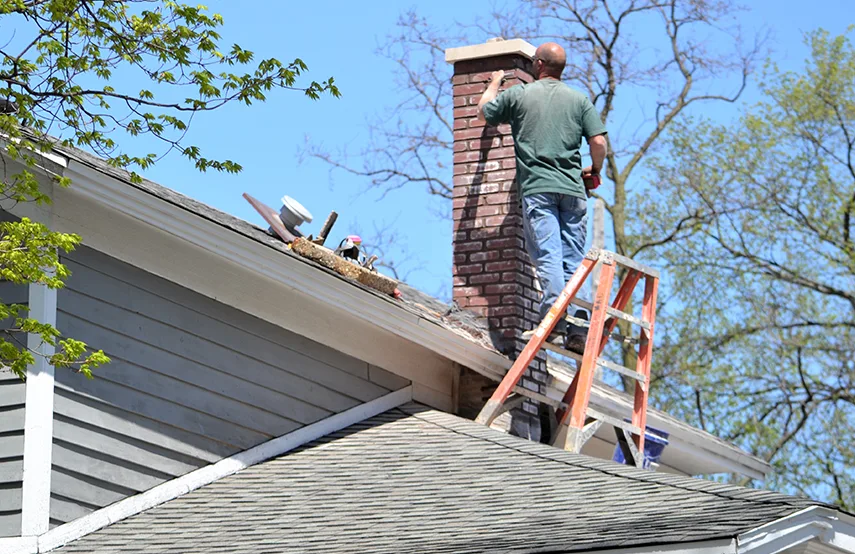 Chimney & Fireplace Inspections Services in Forney, TX