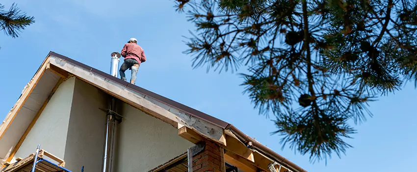 Birds Removal Contractors from Chimney in Forney, TX