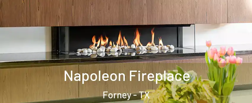  Napoleon Fireplace Forney - TX