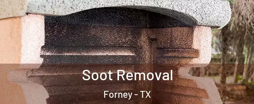  Soot Removal Forney - TX